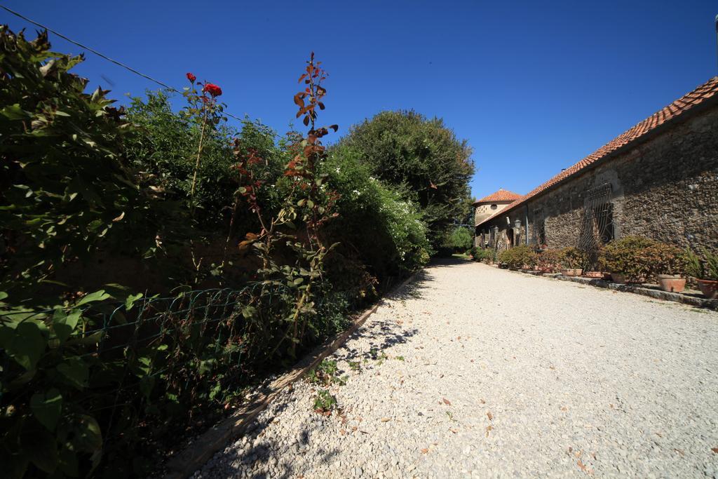 Azienda Agrituristica Seliano Πέστουμ Εξωτερικό φωτογραφία